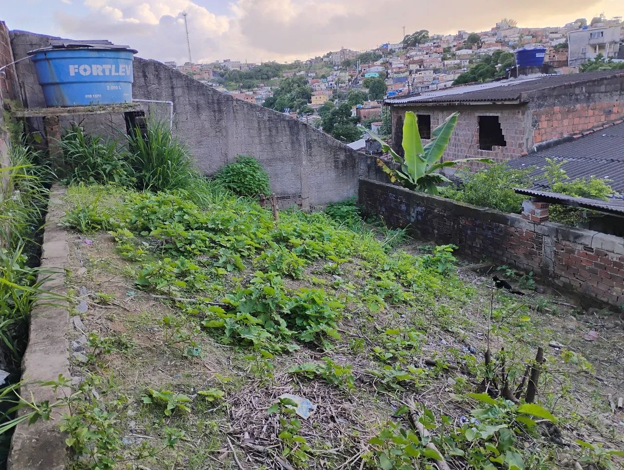 Terreno na Lagoa encantada  - Foto 3