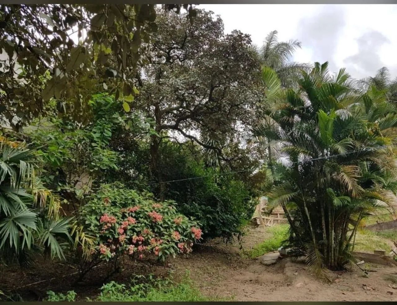 Foto - Betim - Bandeirinhas