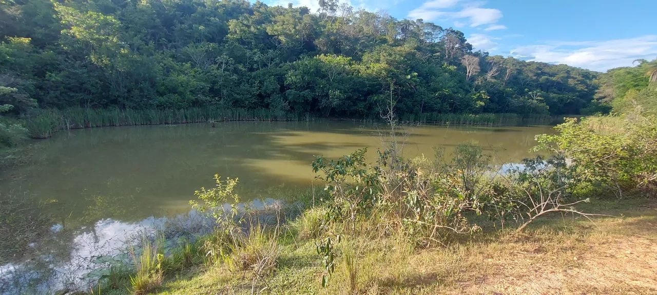 Terreno Comercial as margens da MG 010 - Foto 4