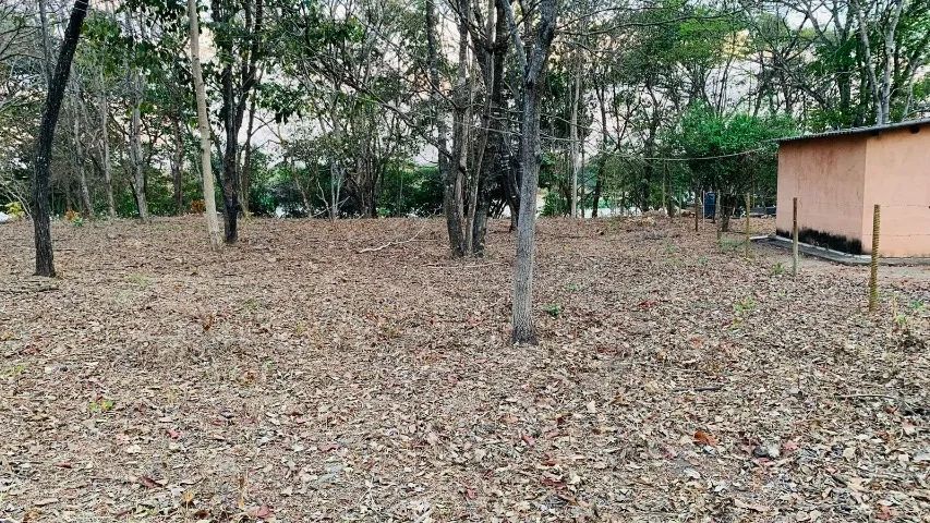 Foto - Buritizeiro - Área Rural de Buritizeiro
