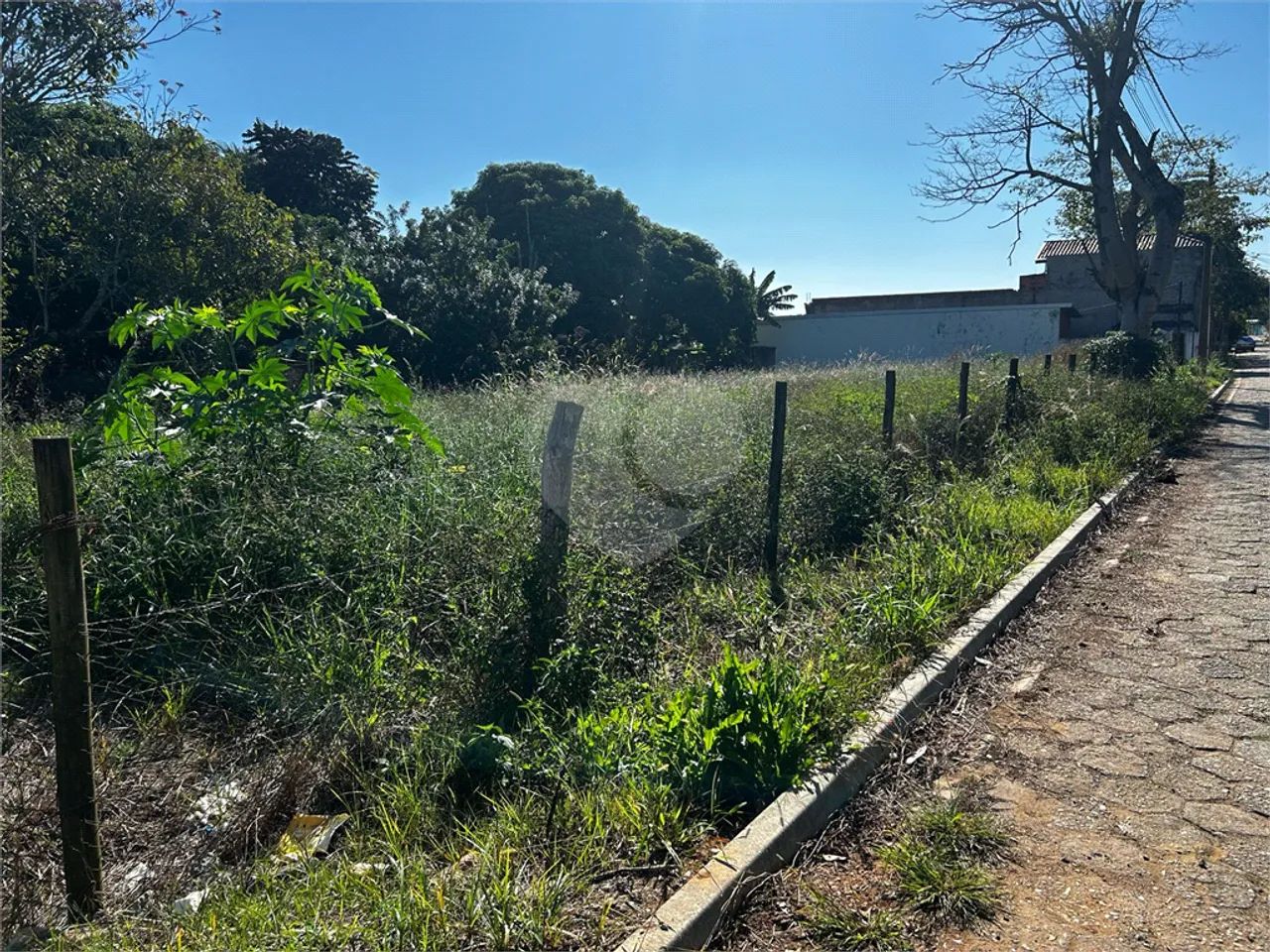 Terreno à venda em Chapadinha - SP - Foto 4