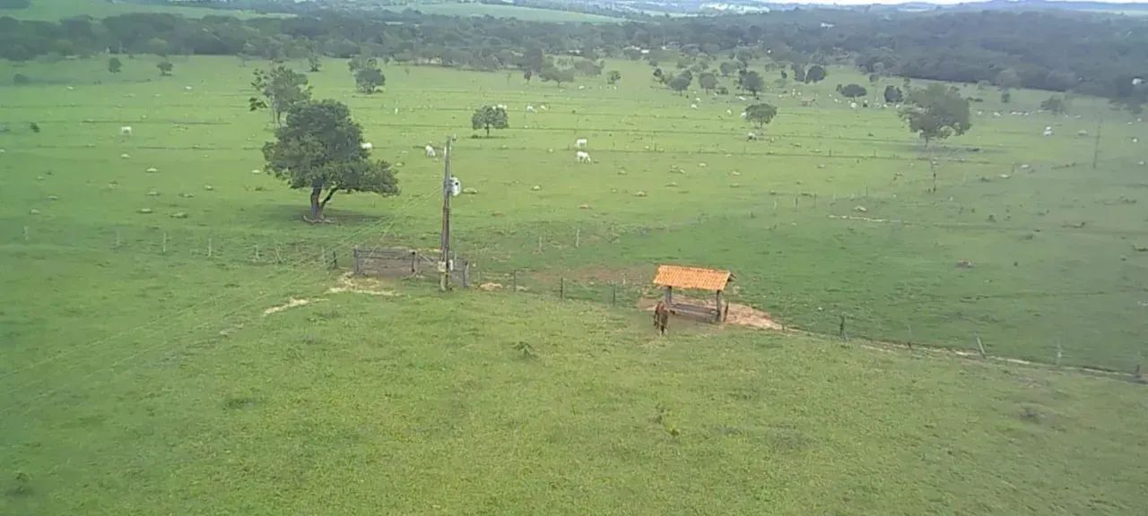Fazenda Heitorai - Foto 5