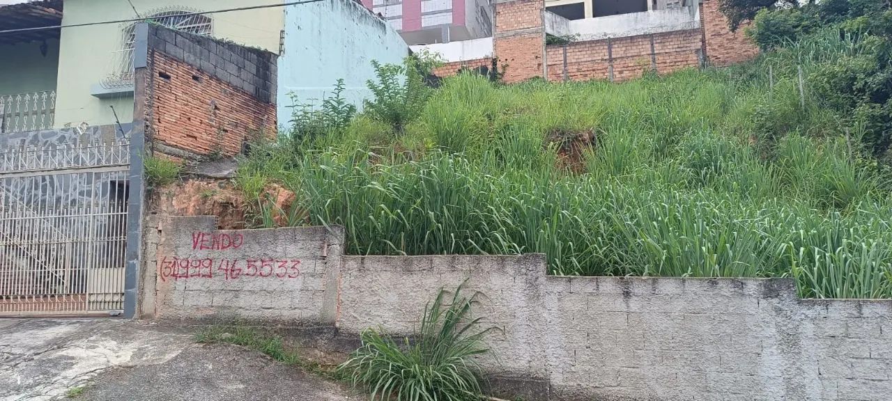 Lote,0 Dormitorio(s) bairro Ouro Preto - Foto 3