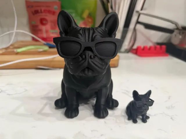  Buldogue Francês Estiloso - Foto 3
