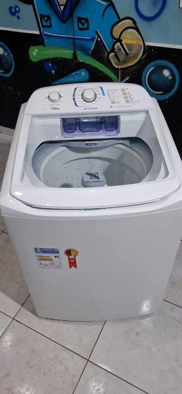 Electrolux 13 kg Washing Machine, All Original
