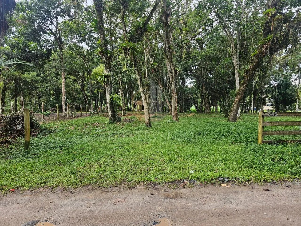 Chácara - Guaratuba, PR - Foto 2