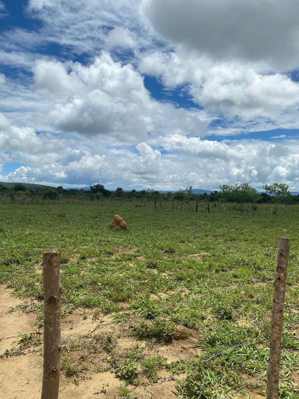 Terreno para sítio  - Foto 4