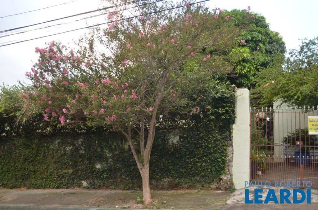 TERRENO - BUTANTÃ - SP - Foto 3