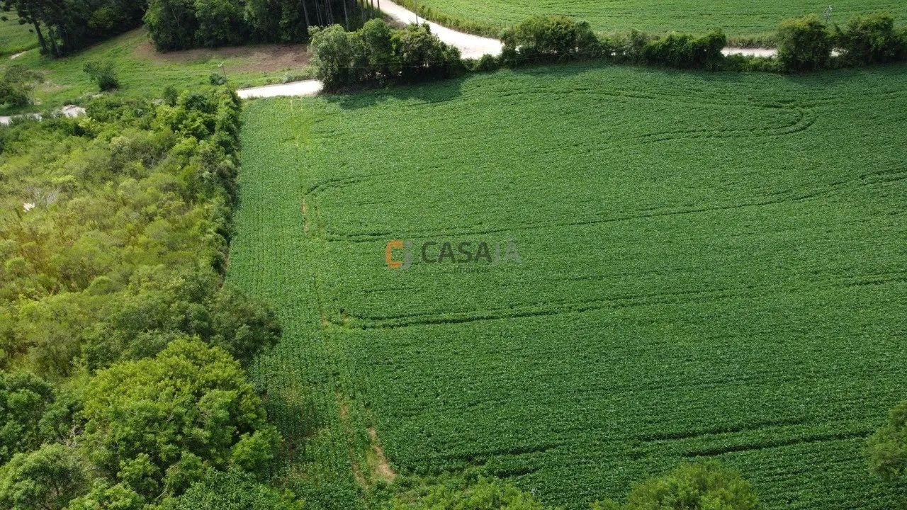 TERRENO RESIDENCIAL em Balsa Nova - PR, Bugre - Foto 4