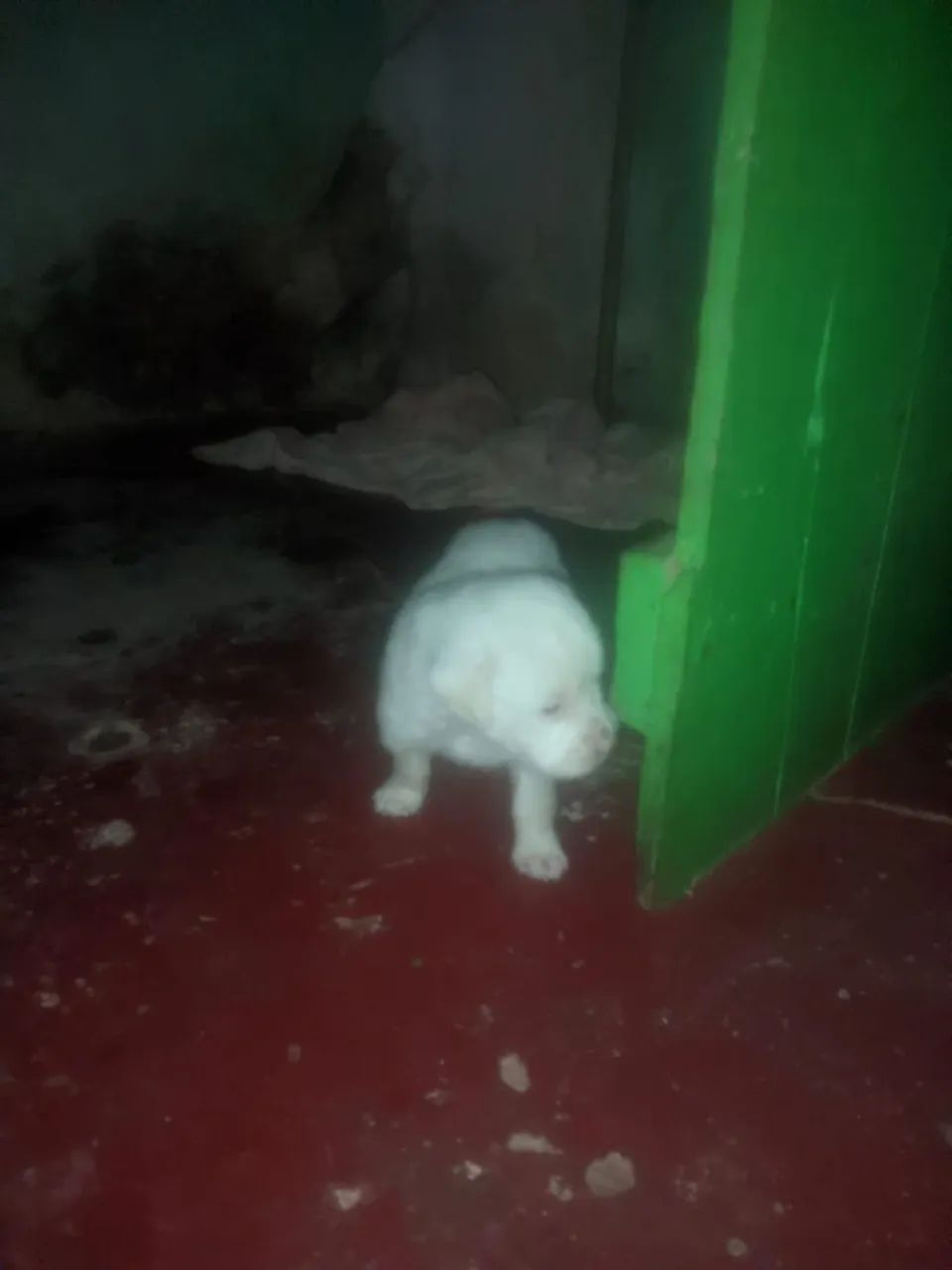 Doação 