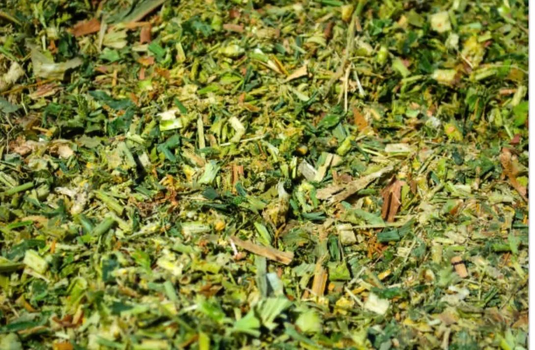 SILAGEM DE MILHO * ? - Foto 4
