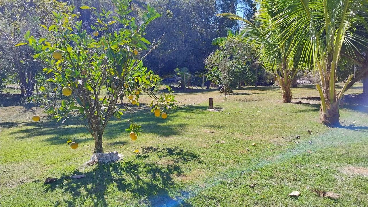 Quatro Chacaras em  área privilegiada. - Foto 3