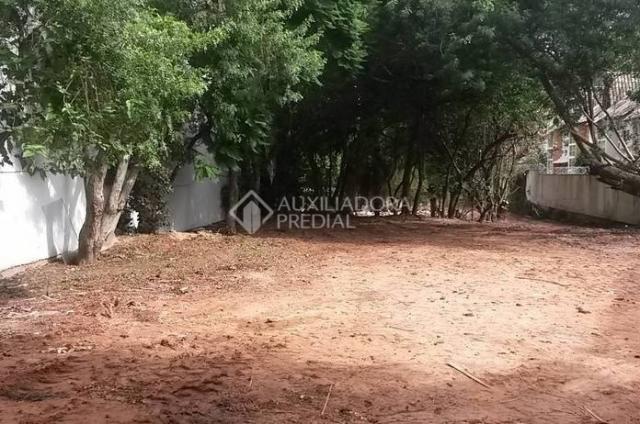 Terreno para alugar em Tristeza, Porto alegre cod:227483 - Foto 7
