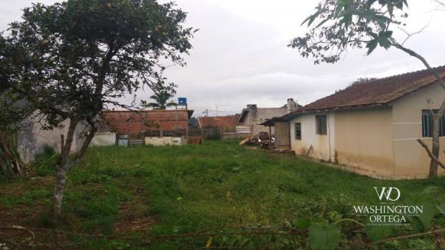 Terreno à venda, 1062 m² por r$ 450.000,00 - borda do campo - são josé dos pinhais/pr - Foto 10