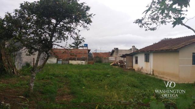 Terreno à venda, 1062 m² por r$ 450.000,00 - borda do campo - são josé dos pinhais/pr - Foto 8