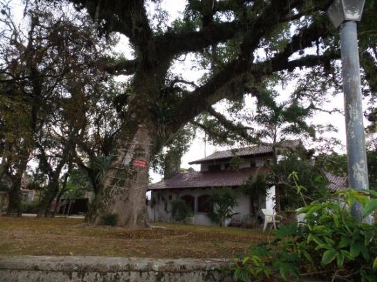 Casa à venda com 3 dormitórios em Ipanema, Porto alegre cod:364000