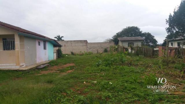 Terreno à venda, 1062 m² por r$ 450.000,00 - borda do campo - são josé dos pinhais/pr - Foto 6