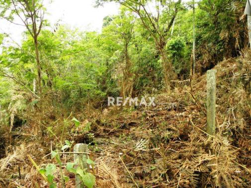 Terreno residencial à venda, Jardim Salaco, Teresópolis - TE0010. - Foto 13