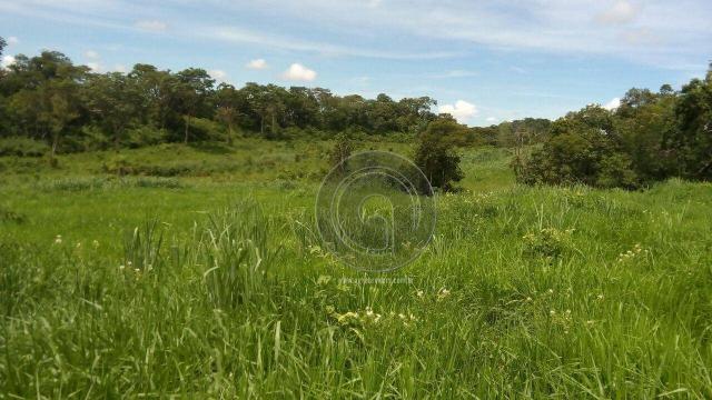 Fazenda 200 hectares na beirada br 070 - Foto 9