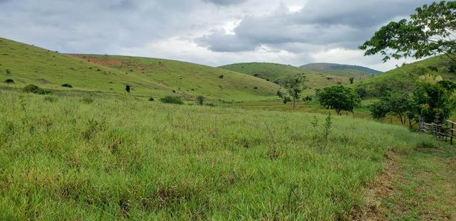 Fazenda 12 alqueires em Governador Valadares/MG - Foto 15
