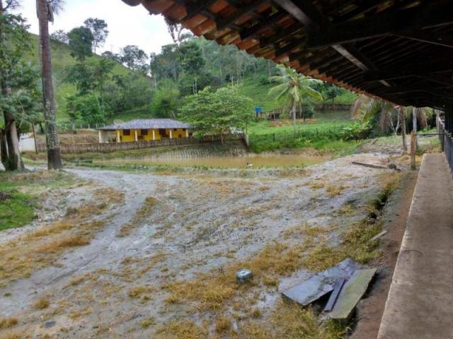 Fazenda para venda em maraial, maraial - Foto 4