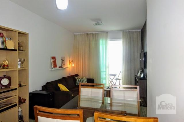 Apartamento à venda com 3 dormitórios em Grajaú, Belo horizonte cod:257769 - Foto 2