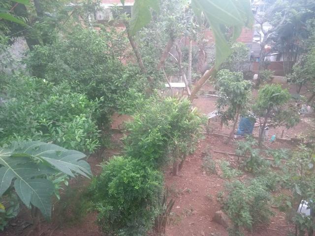 Vendo ou troco mini-sitio com casa - Foto 3
