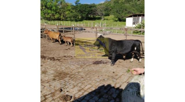 Vendo Lote No Condomínio Fazenda Gramado - Gravatá/PE / Código Do Imóvel : LT0963 - Foto 9