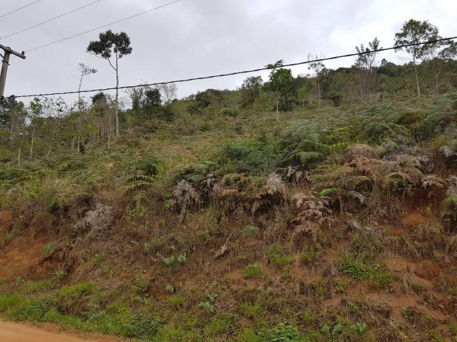 Terrenos - Foto 4