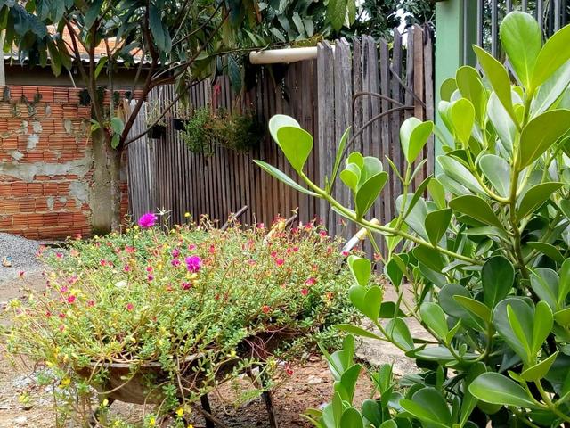 Vende-se uma linda CASA - Foto 10