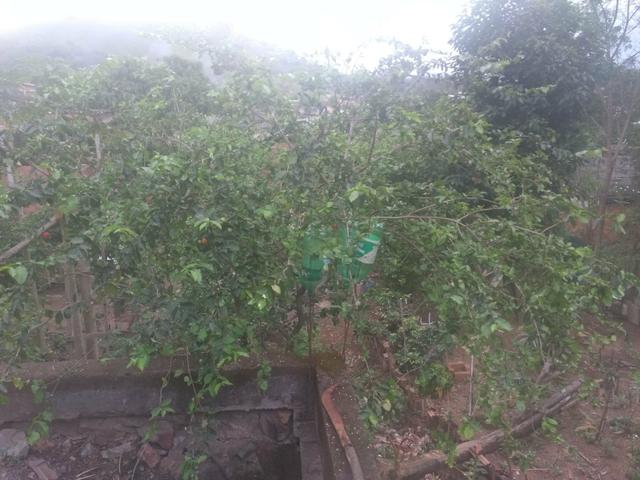 Vendo ou troco mini-sitio com casa - Foto 6