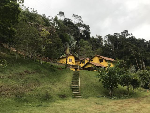 Alugo sítio em Santa Teresa - Foto 6