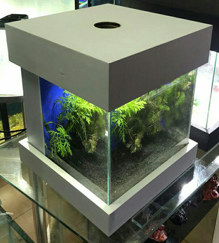 Aquário cubo c/ sump de 30 cmm - Foto 3