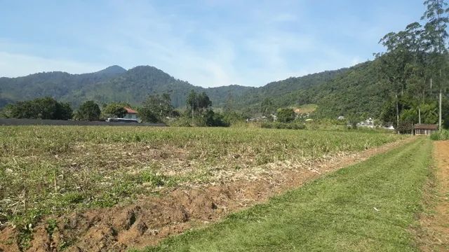 Vende-se terreno industrial ou comercial  - Foto 3