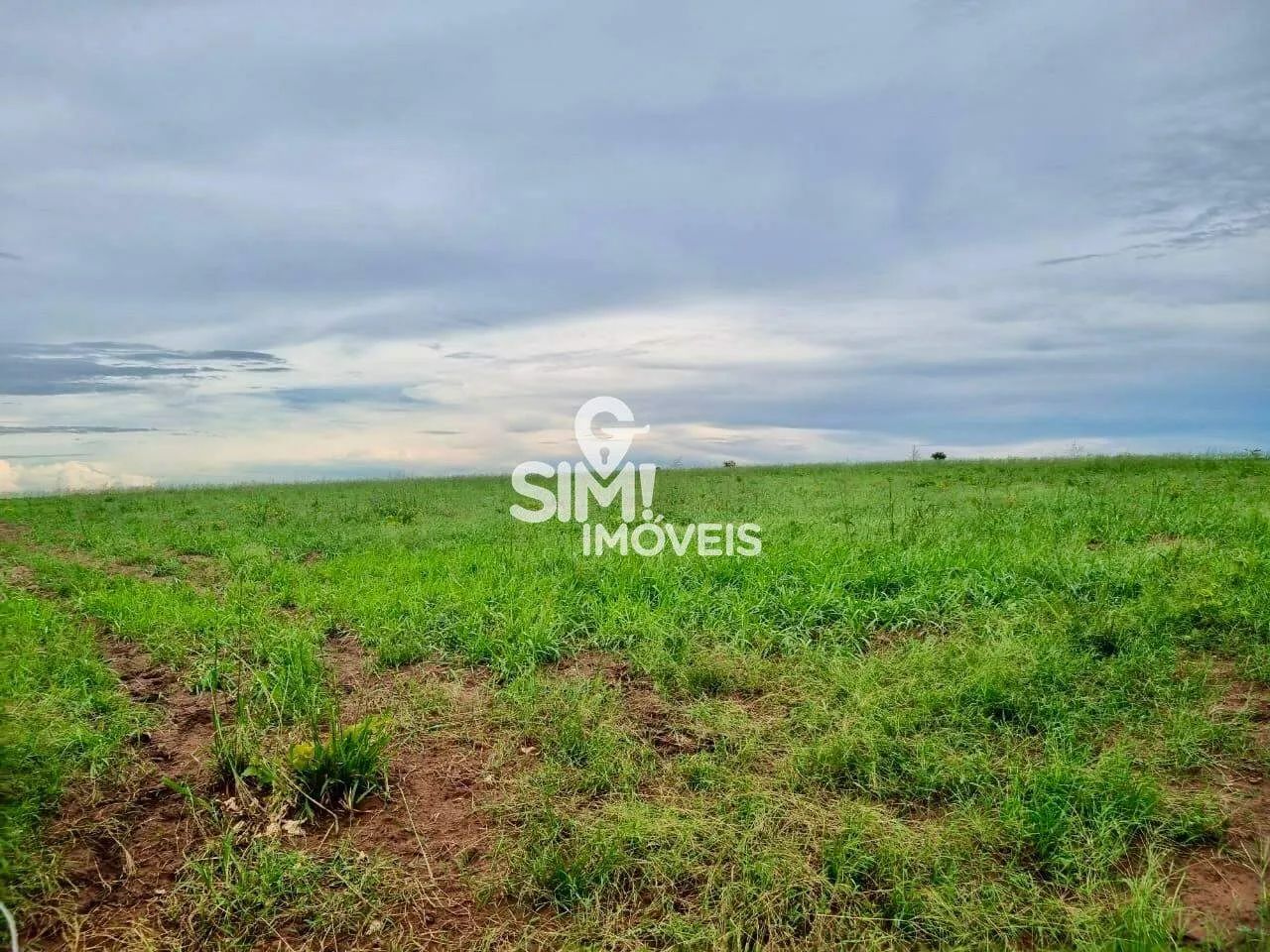 FAZENDA PLANTANDO SOJA NA REGIÃO DE PEDRO AFONSO-TO - Foto 5