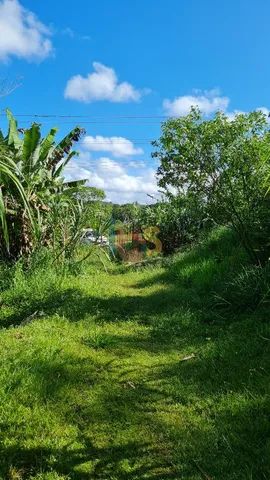 Área com 18 ha no Banco da Vitória