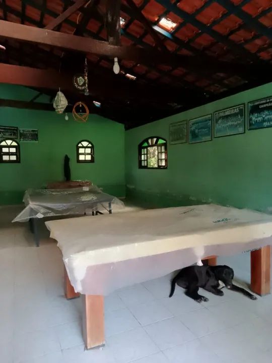 Oportunidade sítio em Mogi das Cruzes com 27.000m² - Foto 2