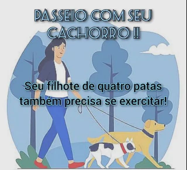 Dog walker: saiba tudo sobre passeadores de cães