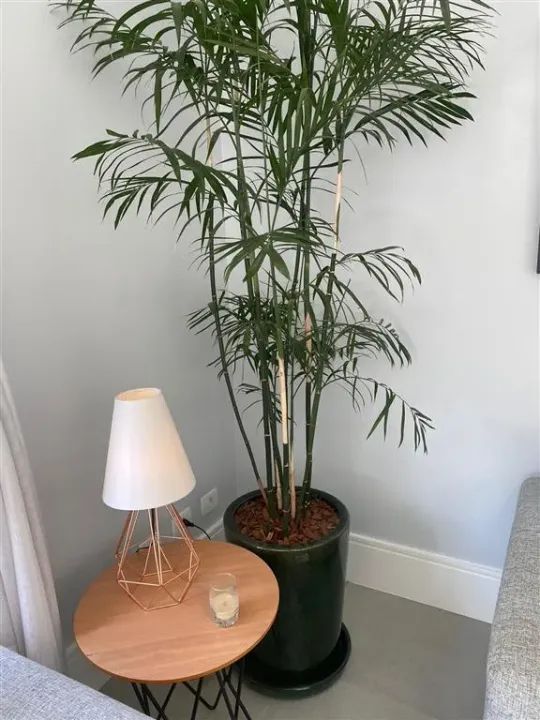 Casa para locação mobiliada em Alphaville com 4 quartos - Foto 10