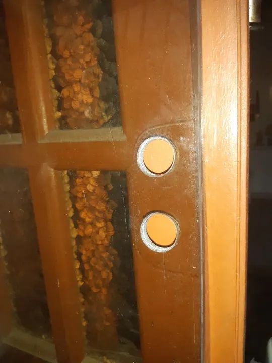 Box Blindex fume  - Foto 2