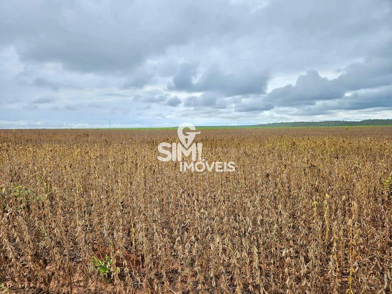 FAZENDA PLANTANDO SOJA NA REGIÃO DE PEDRO AFONSO-TO - Foto 4