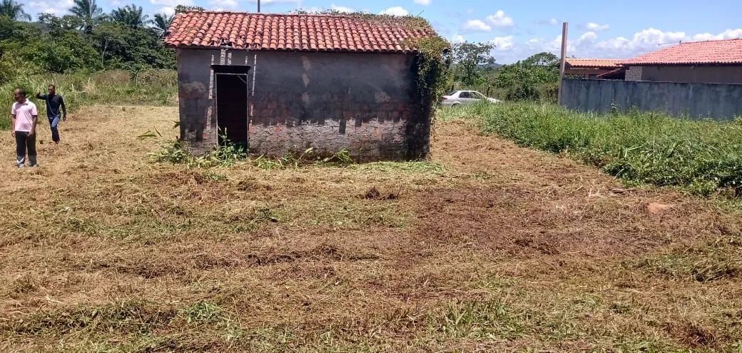 Vendo terreno na ilha,entre conceição de salinas e Cairu. - Foto 6