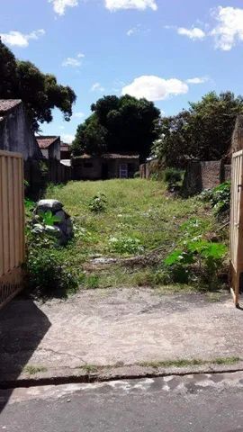 R.MAGALHAES FILHO - BAIRRO:PRIMAVERA - Foto 2