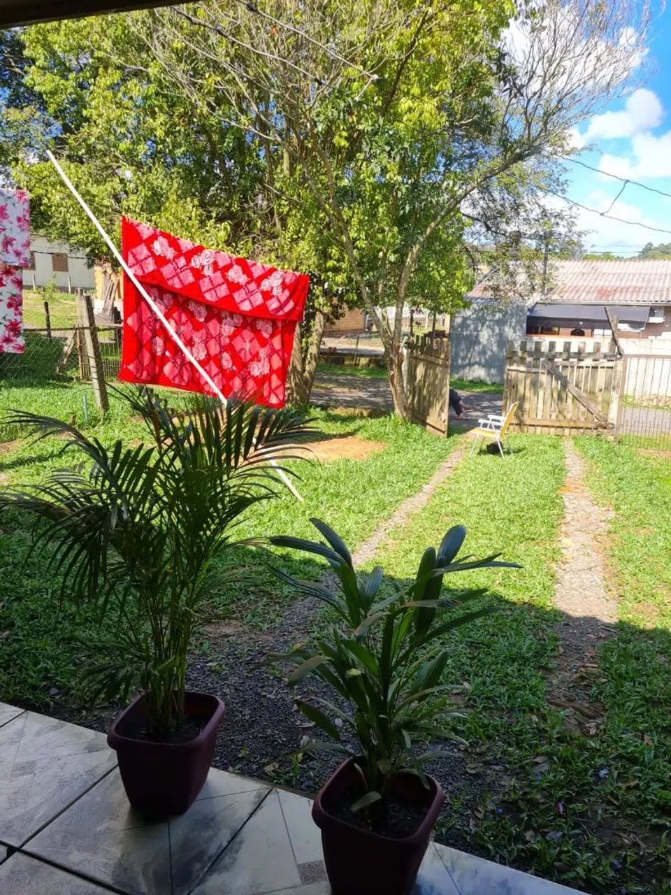 Foto - Canoas - Mathias Velho