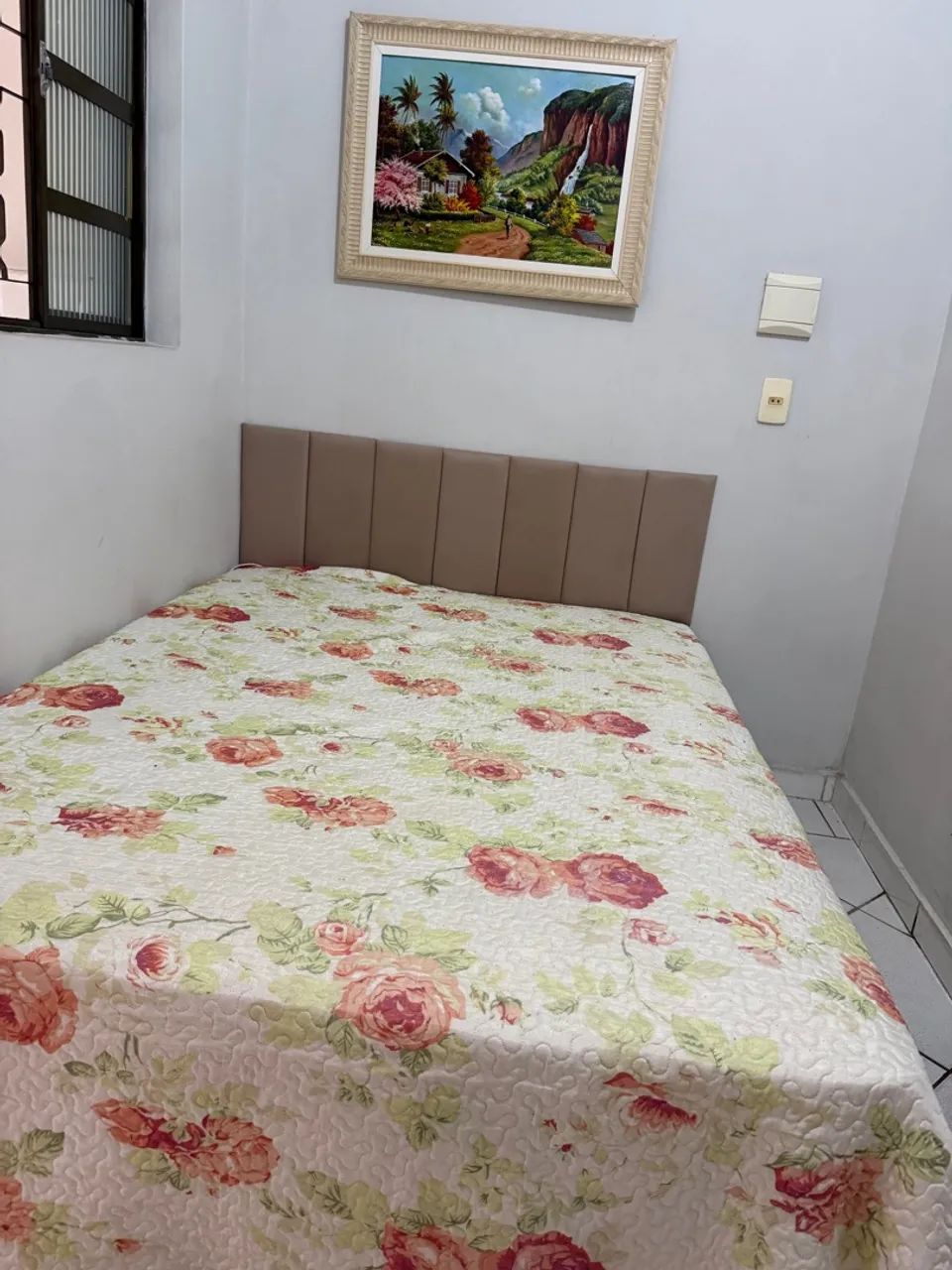 Foto - Anápolis - Centro