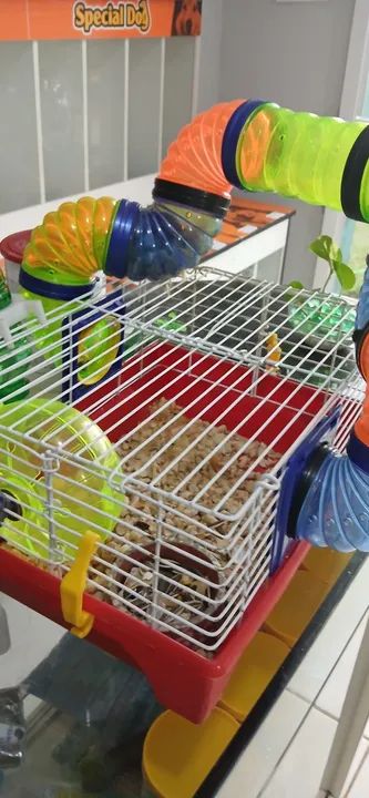 Hamster cm gaiola - Foto 2