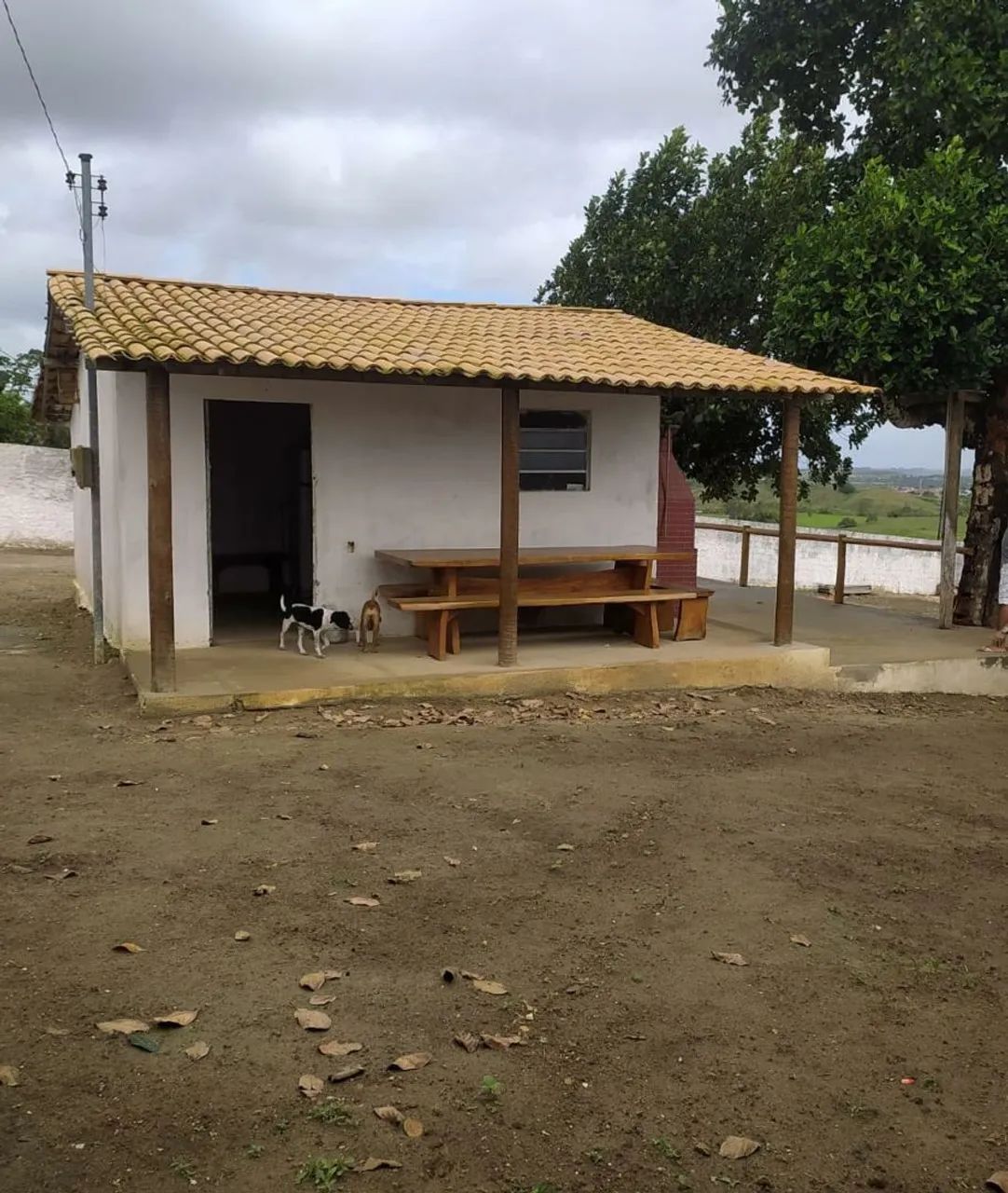 Vende-se ou troca chácara em Salgado nas quebradas 4