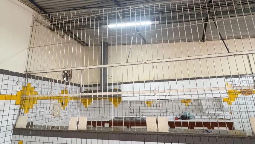 Grades de Ferro Resistente e Durável