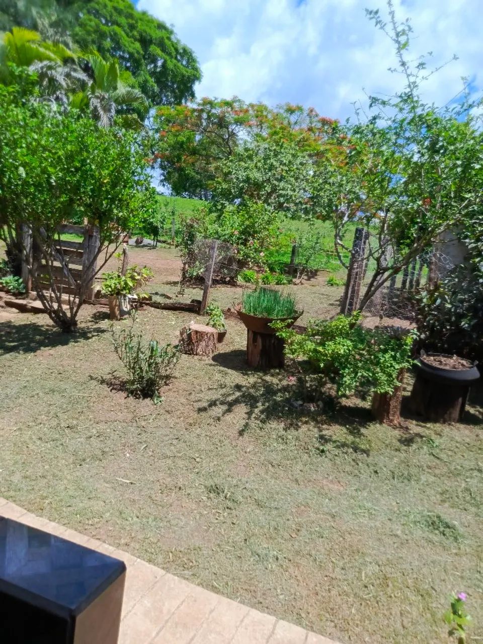 Roçagem de gramas e lotes.. - Foto 3