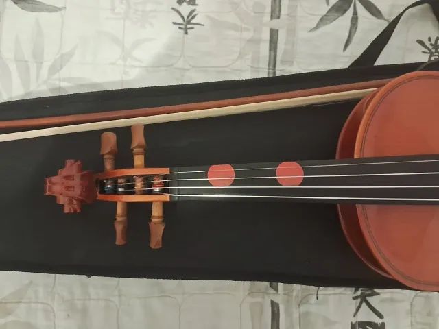 Violino 4/4 Hofma Eagle HVE241 ajustado por luthier (Novo) - Foto 3